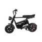 RoadRunner Pro Seated Electric Scooter
