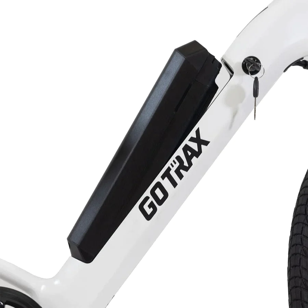GoTrax CTI Electric Bike