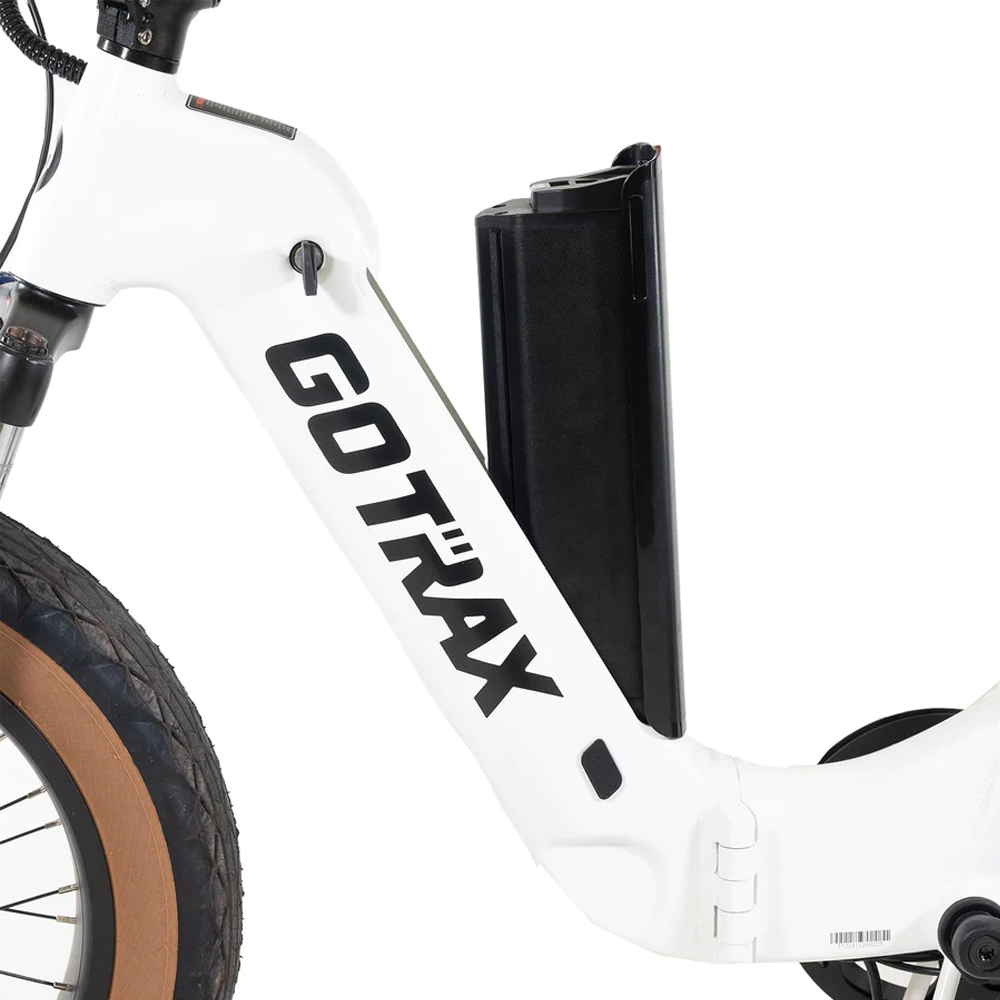 GoTrax F5 Electric Bike