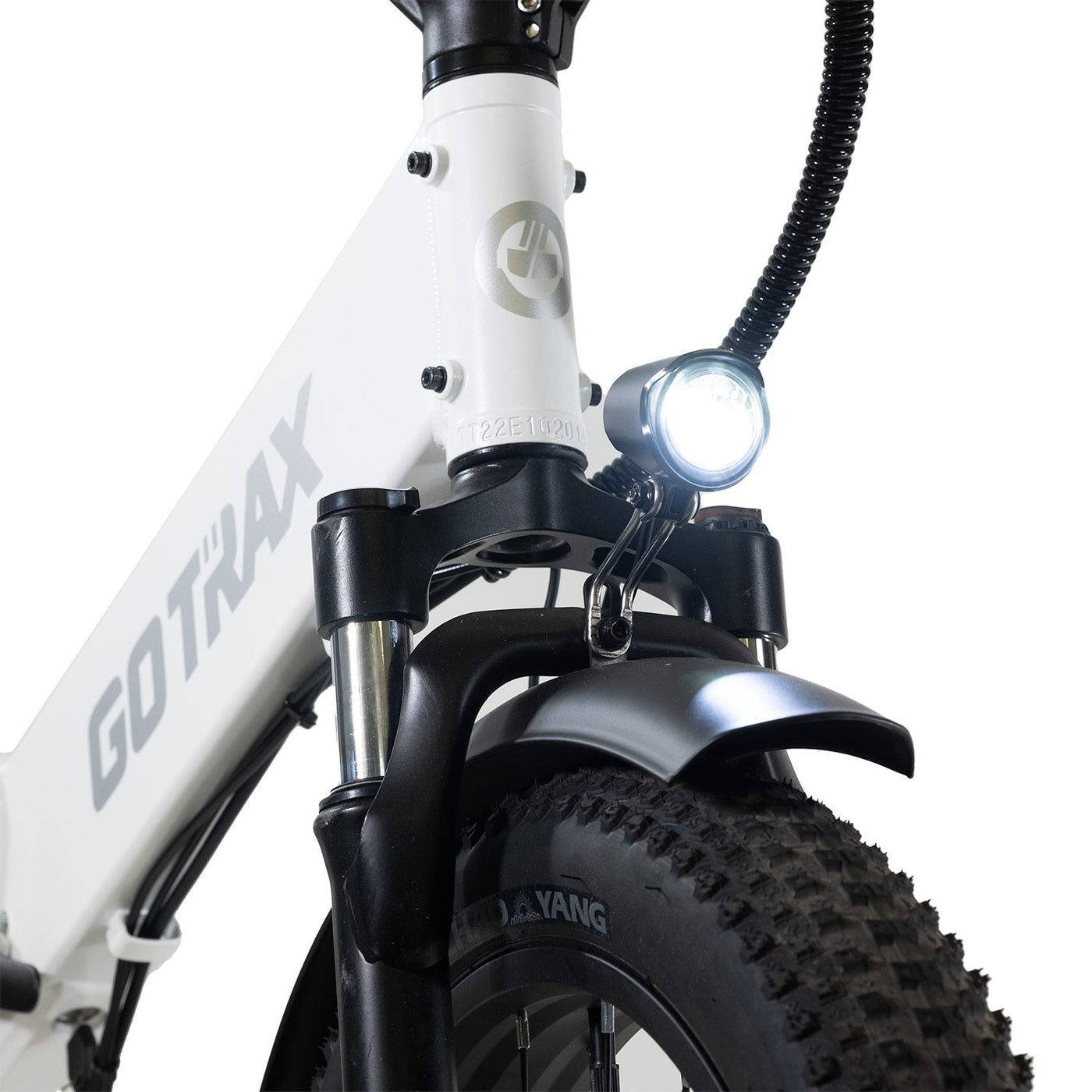 GoTrax F2 Electric Bike
